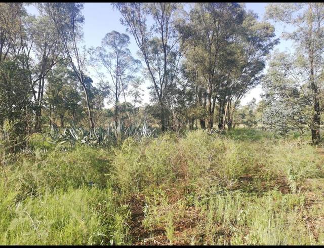 FARM FOR SALE IN DE DEUR ESTATES